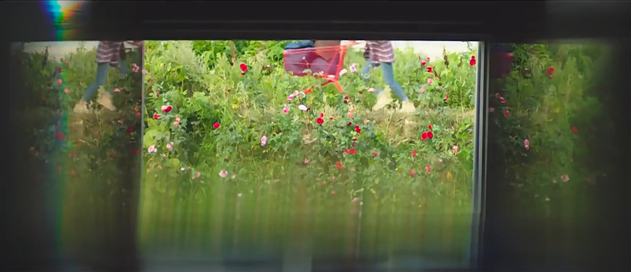 Flowers and greenery in "Bulgasal: Immortal Souls"