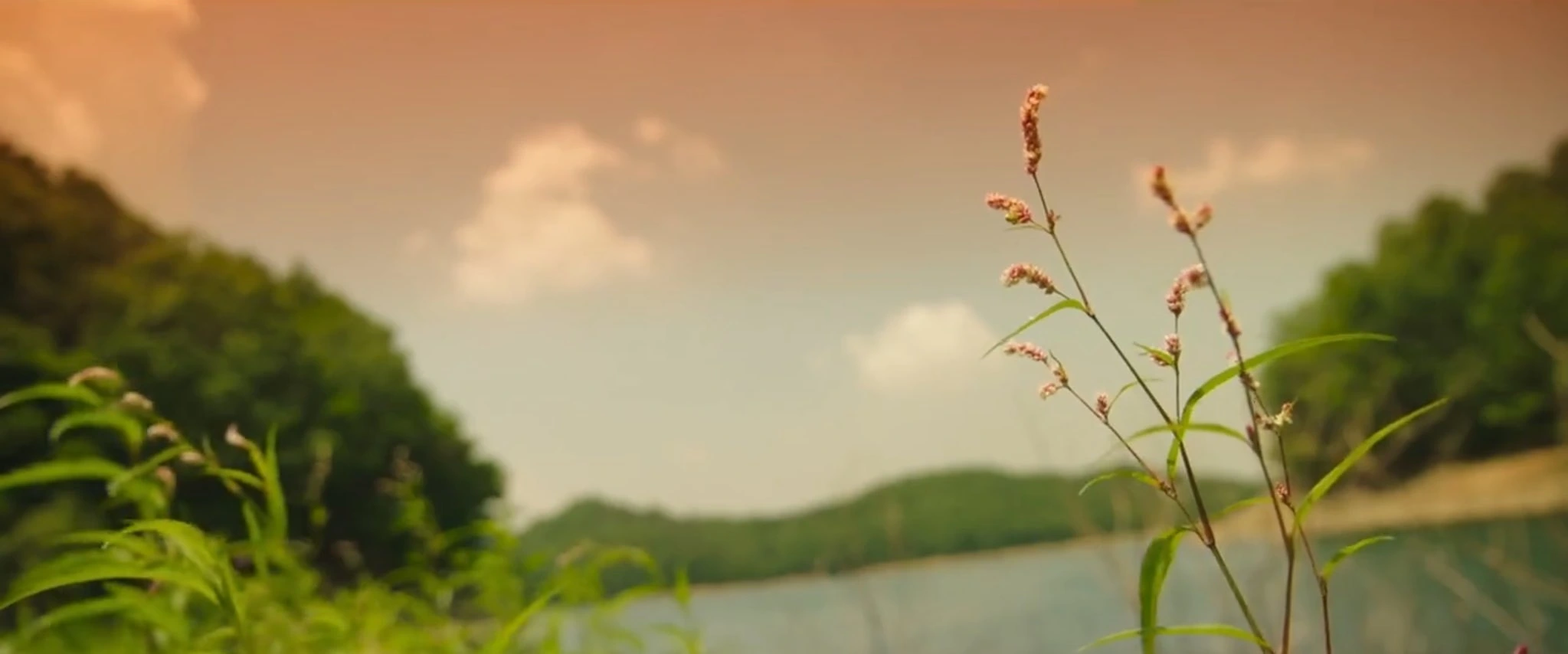Beautiful scenery in "Bulgasal: Immortal Souls"
